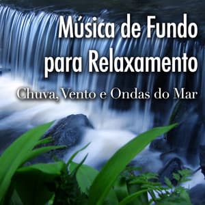 Música de Fundo para Relaxamento - Canções para Meditação com Sons da Natureza como Chuva, Vento e Ondas do Mar - Piano 01