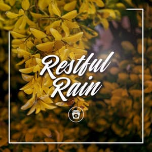 Restful Rain - Rain Sounds Nature Collection