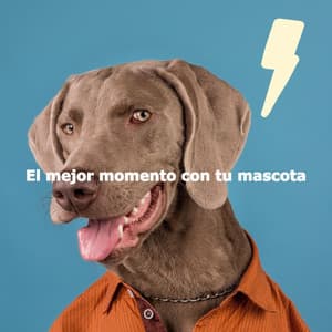 El mejor momento con tu mascota - Fine Dining Music