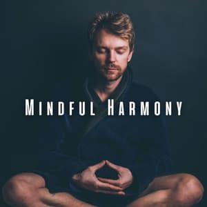 Mindful Harmony: Jazz Lounge Rhythms for Meditation - Smooth Jazz Chill Out Playlist