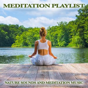 Meditation Playlist: Nature Sounds and Meditation Music For Meditation, Music For Yoga Music, Deep Focus, Concentration, Mindfulness, Healing, Wellness and Music For Relaxation - Meditation Music Playlist