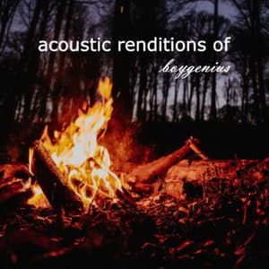 Acoustic Renditions of Boygenius - Guitar Tribute Players