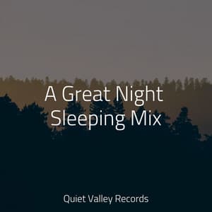 A Great Night Sleeping Mix - Saludo al Sol Sonido Relajante