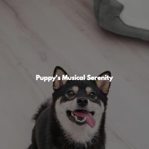 Puppy's Musical Serenity - Harlem Jazz Guitar Quartet