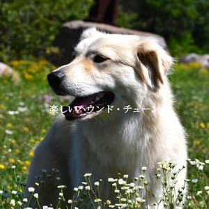 楽しいハウンド・チューン - Lounge Music for Restaurants