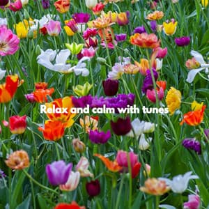 Relax and calm with tunes - Classic Jazz Chill