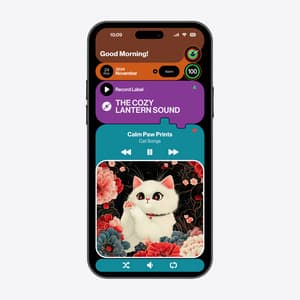 Calm Paw Prints - Cat Songs