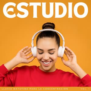 Estudio: Lluvia Matutina Para La Concentración Vol. 1 - Dulce lluvia