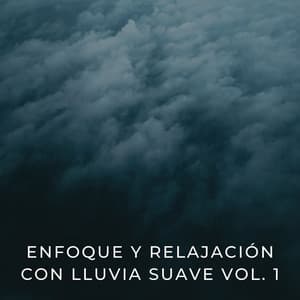 Enfoque Y Relajación Con Lluvia Suave Vol. 1 - Experiencia de sonido de lluvia