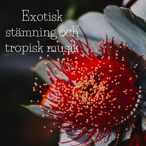 Exotisk stämning och tropisk musik: Hawaiiansk spa avkoppling och ho'oponopono-meditation - Chakra helande musikakademi