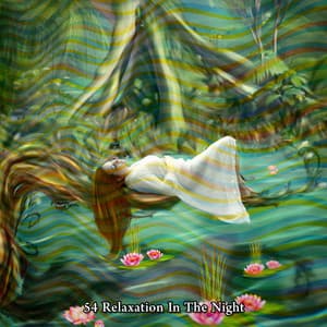 54 Relaxation In The Night - Relaxing Spa Music