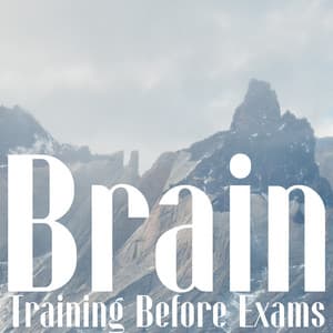 Brain Training Before Exams: Deep Focus Meditation, Brain Exercises, Improve Your Mind - Exam Study Music Academy