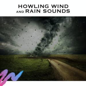 Howling Wind and Rain Sounds - Study Radiance