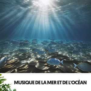 Musique de la Mer et de l'Océan : Mélodies des Profondeurs - Ocean Sounds Plus