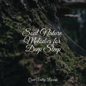 Soul Nature Melodies for Deep Sleep - White Noise Babies