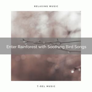 ! ! ! ! ! ! ! Enter Rainforest with Soothing Bird Songs - Rain Sounds For Sleep