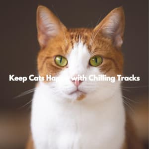 Keep Cats Happy with Chilling Tracks - Dreamtime Music