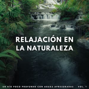 Relajación En La Naturaleza: Un Río Poco Profundo Con Aguas Apresuradas Vol. 1 - NatuREM