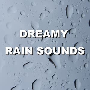 Dreamy Rain Sounds - Wind and Rain Sounds