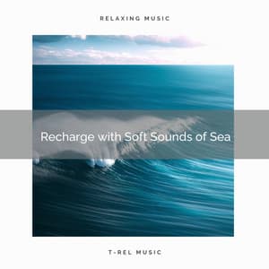 Recharge with Soft Sounds of Sea - Sleep Waves
