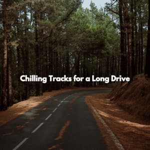 Chilling Tracks for a Long Drive - Cafe Jazz Relax