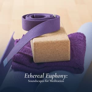 Ethereal Euphony: Soundscapes for Meditation - Inner Power Oasis