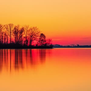 1 Night With White Noise: Tranquil - Focus Noise