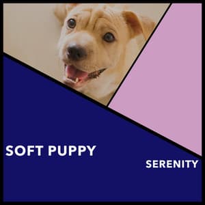 Soft Puppy Serenity - Dogs Music Therapy