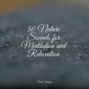 50 Nature Sounds for Meditation and Relaxation - Meditative Music Guru