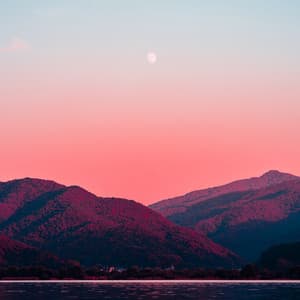 50 Gentle Sounds for Instant Tranquility - Nature Sounds Artists