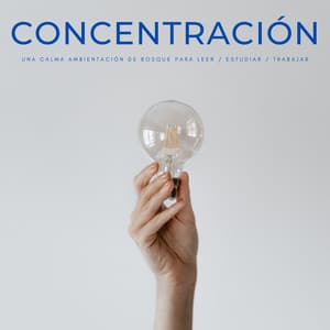 Concentración: Una Calma Ambientación De Bosque Para Leer / Estudiar / Trabajar - Música de Trabajo Clasico