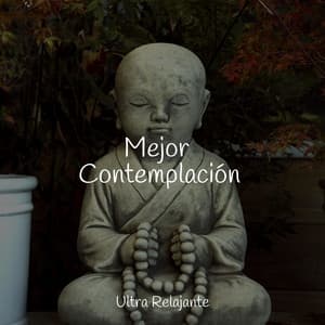 Mejor Contemplación - Meditação Zen