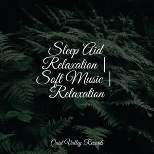 Sleep Aid Relaxation | Soft Music | Relaxation - Internal Yoga