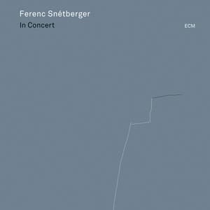 In Concert - Ferenc Snétberger