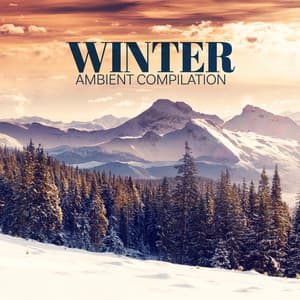 Winter Ambient Compilation: Wind and Snowstorm Sounds for Peaceful Sleep and Relaxation - Sound of Nature Library