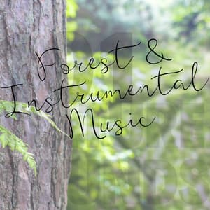 Forest & Instrumental Music - 101 Nature Sounds