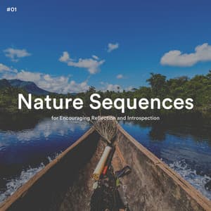 #01 Nature Sequences for Encouraging Reflection and Introspection - Baby Sleep Sounds
