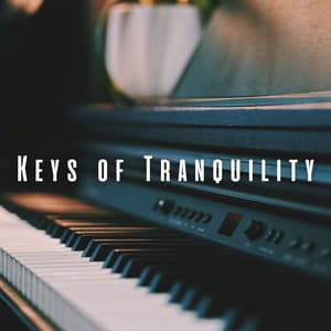 Keys of Tranquility: Piano Melodies for Relaxation - Worship Music Piano