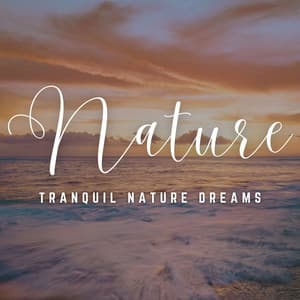 Sleep Serenity: Tranquil Nature Dreams - Lights of Kharma