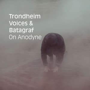 On Anodyne - Jon Balke