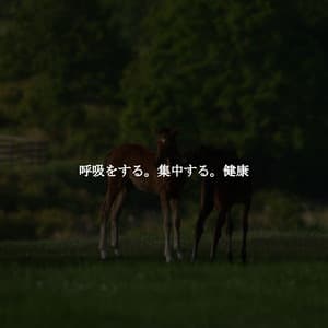 呼吸をする。集中する。健康 - Light Jazz & Coffee