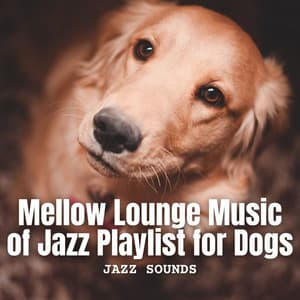 Jazz Sounds: Mellow Lounge Music of Jazz Playlist for Dogs - Monday Morning Jazz Playlist