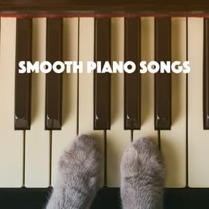 Smooth Piano Songs - Moonlight Sonata