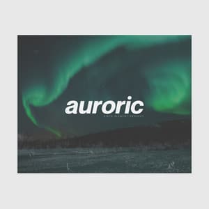 Auroric - Silent Meditation Zone