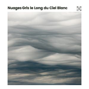 Nuages gris le Long du Ciel Blanc - Bruit Blanc