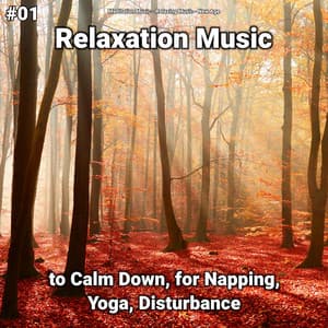 #01 Relaxation Music to Calm Down, for Napping, Yoga, Disturbance - New Age