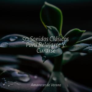 50 Sonidos Clásicos Para Relajarse Y Curarse - Relajación