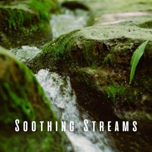 Soothing Streams: Massage Enhancing Chill Music by the River - Trickling Water Soundscape