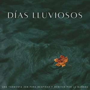 Días Lluviosos: Una Tormenta Zen Para Respirar Y Meditar Por La Mañana - Tormentas eléctricas y sonidos de tormenta de lluvia
