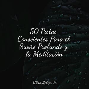 50 Pistas Conscientes Para el Sueño Profundo y la Meditación - Sonidos de lluvia para dormir